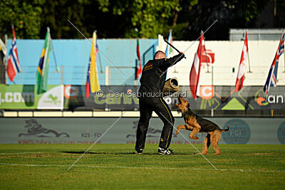 Atzipora von SprungLila