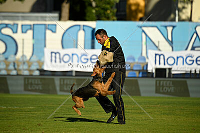 Atzipora von SprungLila