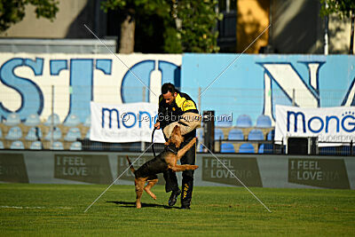 Atzipora von SprungLila