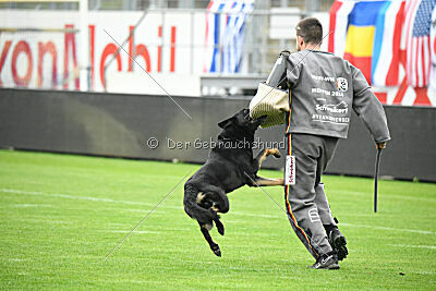 August vom Team Wieratal