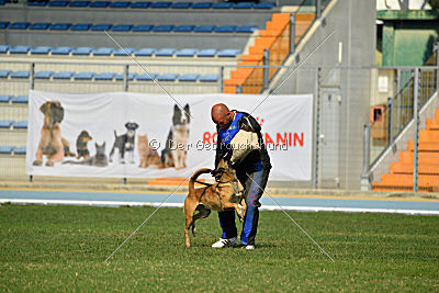 Avonwolf Al Capone Keith