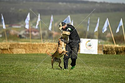 Avonwolf Deliverance