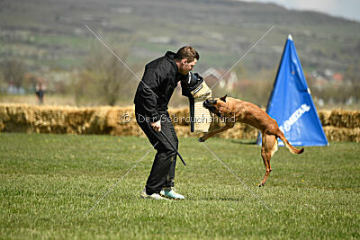 Avonwolf Deliverance