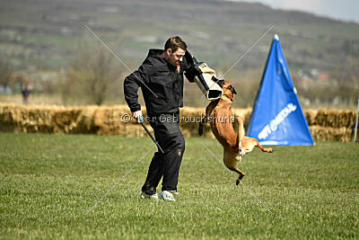 Avonwolf Deliverance