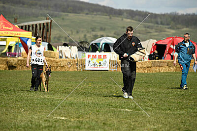 Avonwolf Deliverance