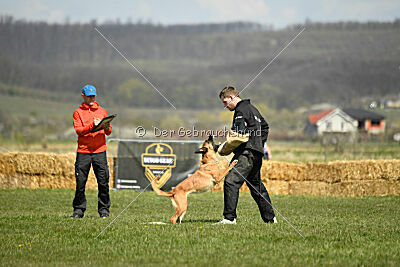 Avonwolf Deliverance