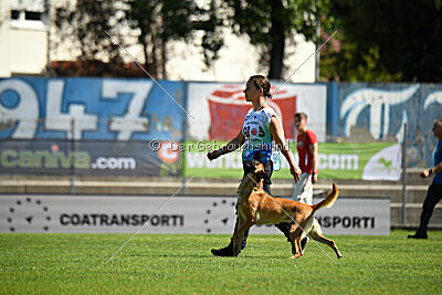 Avonwolf Deliverance