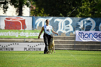 Avonwolf Deliverance