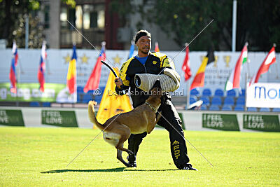 Avonwolf Deliverance