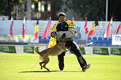 Avonwolf Deliverance