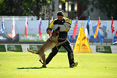 Avonwolf Deliverance