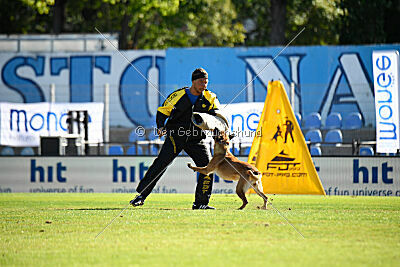 Avonwolf Deliverance