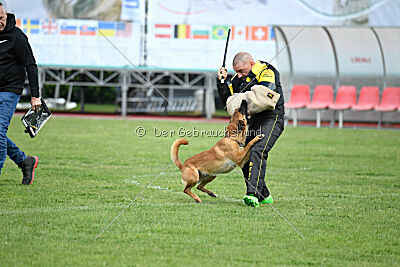 Avonwolf Deliverance