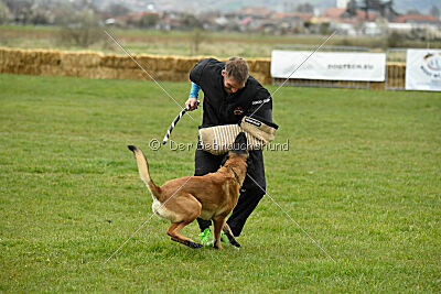 Avonwolf Delta Warrior