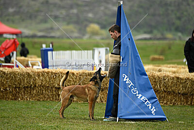 Avonwolf Delta Warrior