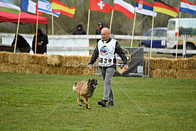 Avonwolf Delta Warrior