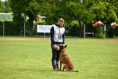 Avonwolf Gunnar