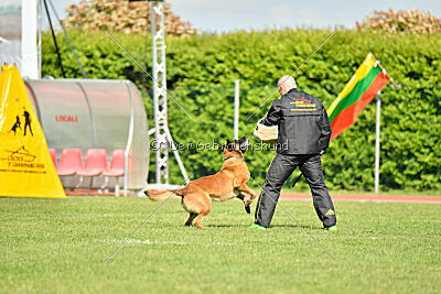 Avonwolf Gunnar