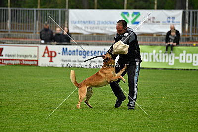 Axel von der Naturgewalt
