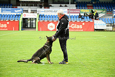 Axl vom Traunsteinblick