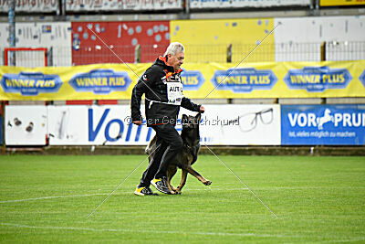 Axl vom Traunsteinblick