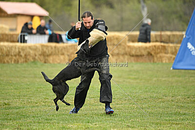 Aydi vom Scheinwerferberg
