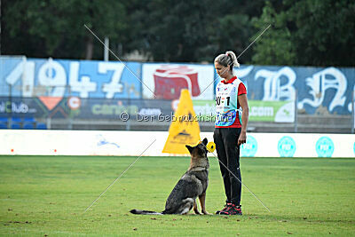 Aylin von Starker Wille