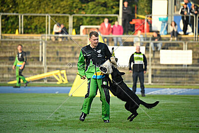 Ayra van Huize Kimce