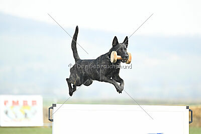 Ayumi vom Scheinwerferberg