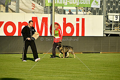 Azeem von der Michelbacher Heide