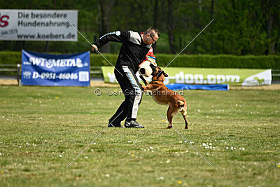 Bacima Cri de Loup