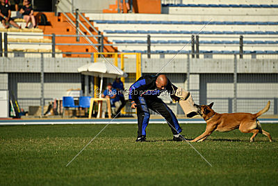 Bagdad vom Clan der Wölfe