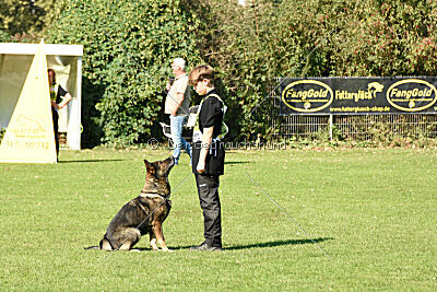 Baghira vom Bahnhofsrevier