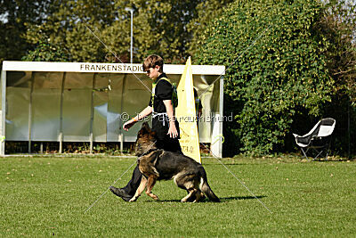 Baghira vom Bahnhofsrevier