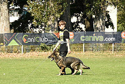 Baghira vom Bahnhofsrevier