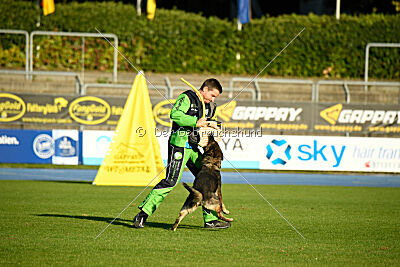 Baghira vom Bahnhofsrevier