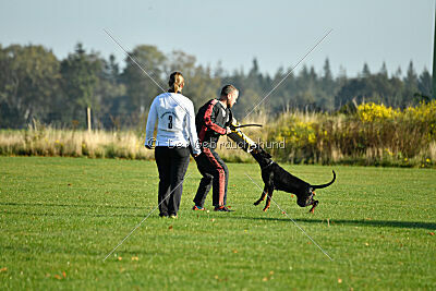 Baghira vom Schildwall