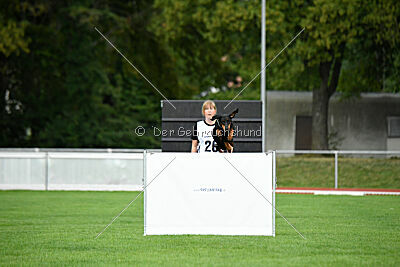 Baghira vom Schildwall