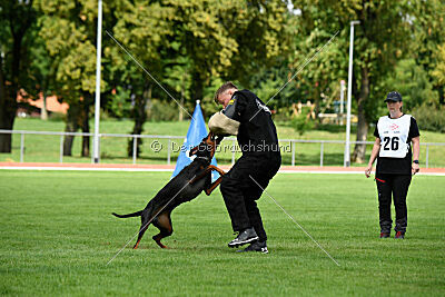 Baghira vom Schildwall