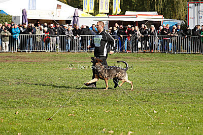 Baghira vom Wolfsstolz