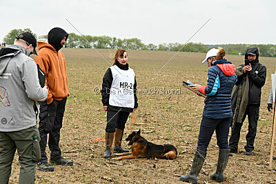 Bak Malinois of Sprajc