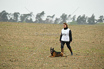 Bak Malinois of Sprajc