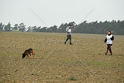 Bak Malinois of Sprajc