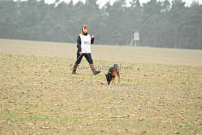 Bak Malinois of Sprajc