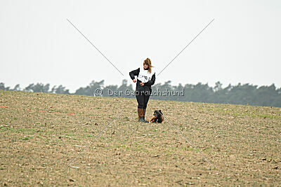 Bak Malinois of Sprajc