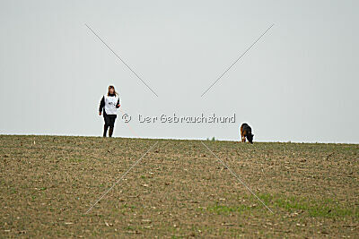 Bak Malinois of Sprajc