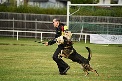 Baldo von der roten Zora