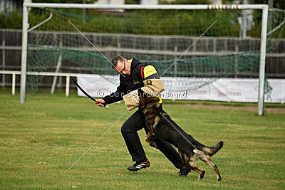 Baldo von der roten Zora