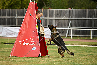 Baldo von der roten Zora