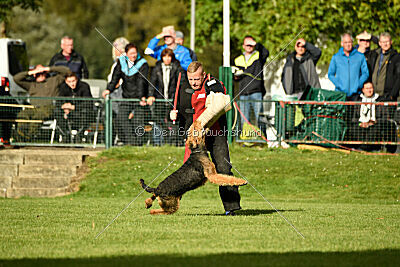 Baldur von der Laubenhaid